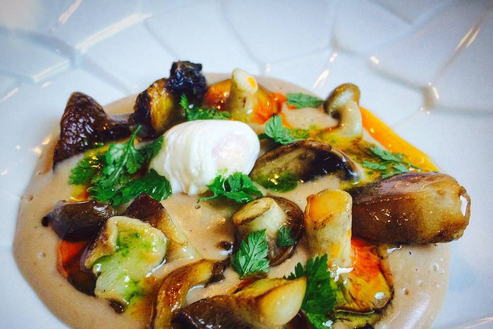 Ragout de boletus