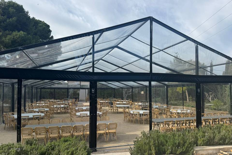 Carpa transparente-negro