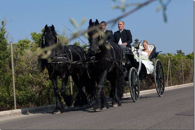 Coches de caballo para bodas