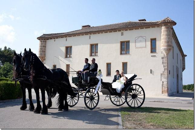 Coches de caballo para bodas