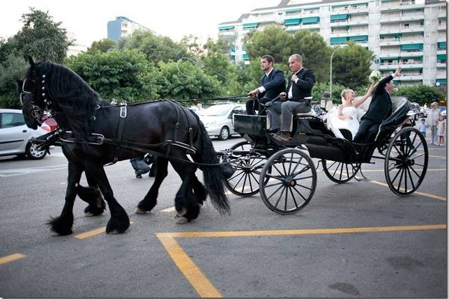 Coches de caballo para bodas