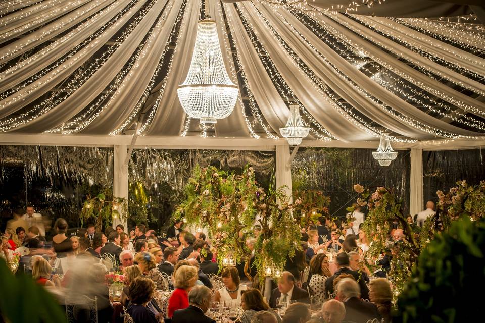 Carpa para boda