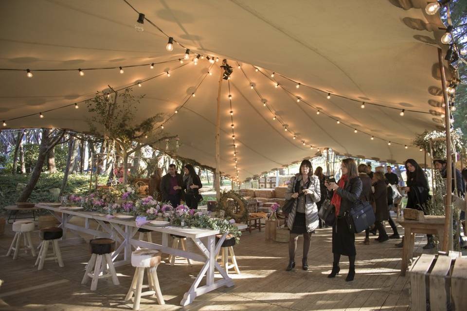 Carpa sobre piscina