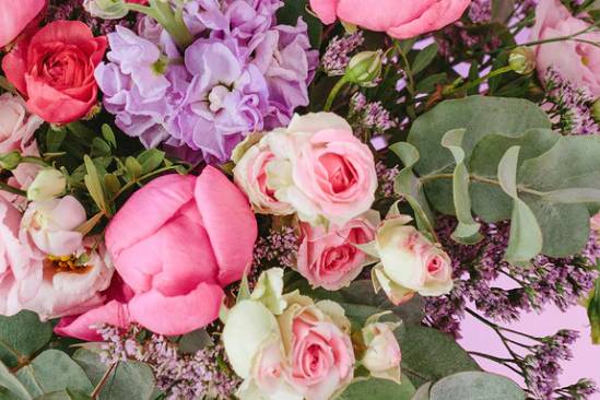 Flores variadas