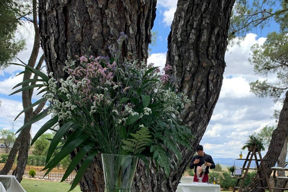 Zona de jardín de aperitivos