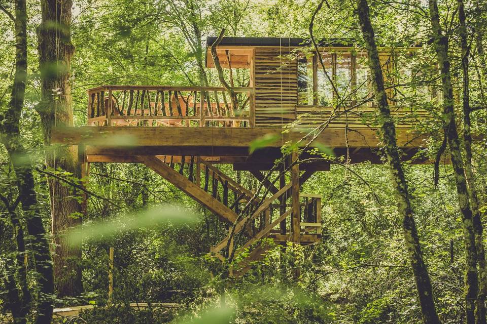 Tu boda en el bosque