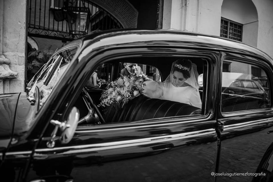 Boda en Palacio de los Palmas