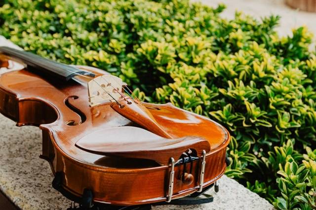 Violín