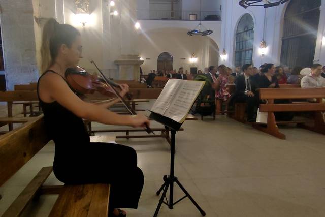 Viola solo