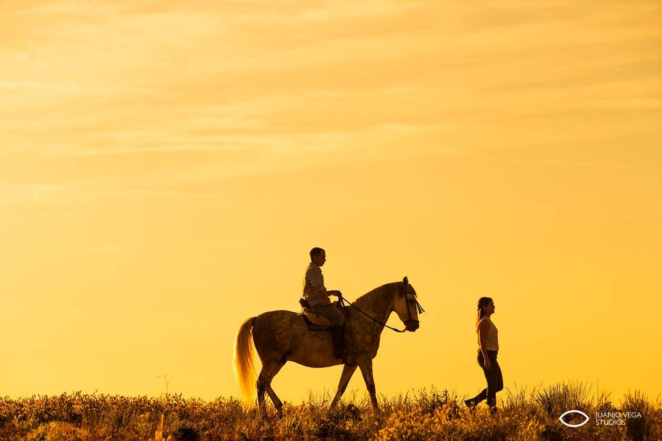 Tierra de campos