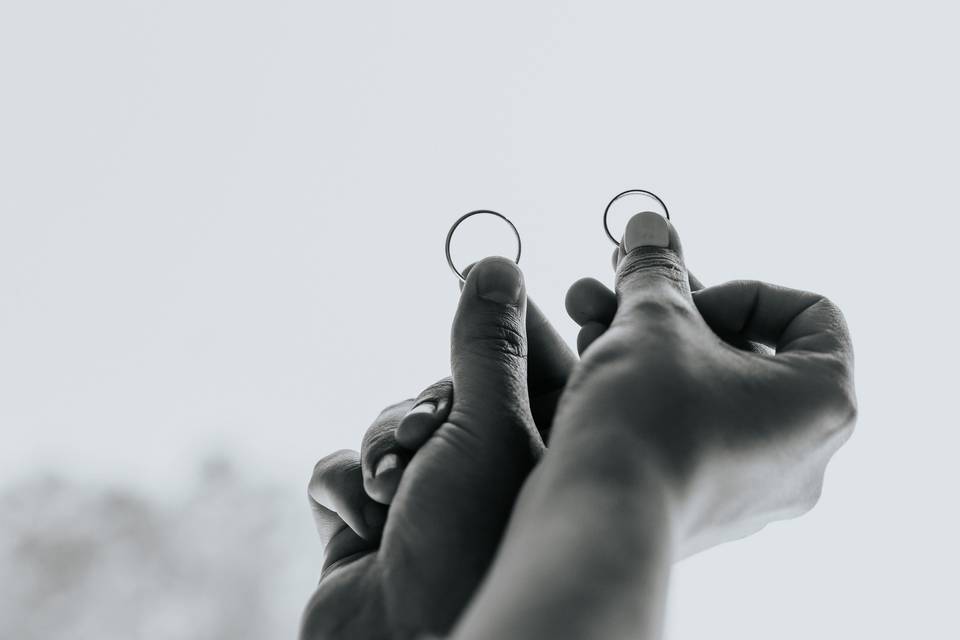 Anillos