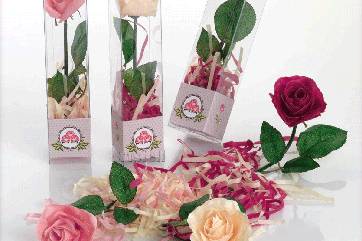 Rosas de jabón