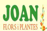Logo Joan Flors i Plantes