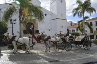 Centro Ecuestre El Rocio