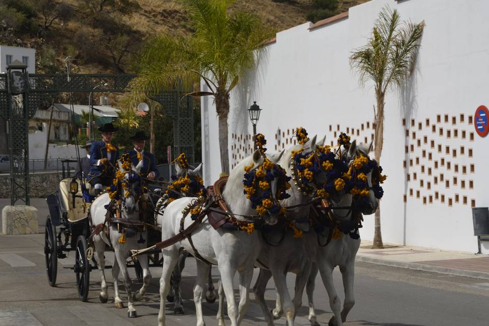 Centro Ecuestre El Rocio