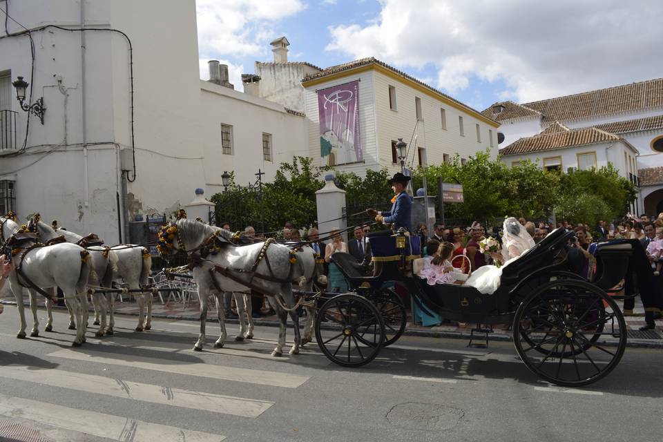 Centro Ecuestre El Rocio