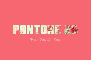 Pantone26