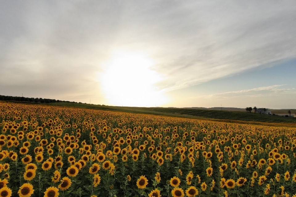 Atardeceres en La Carreña