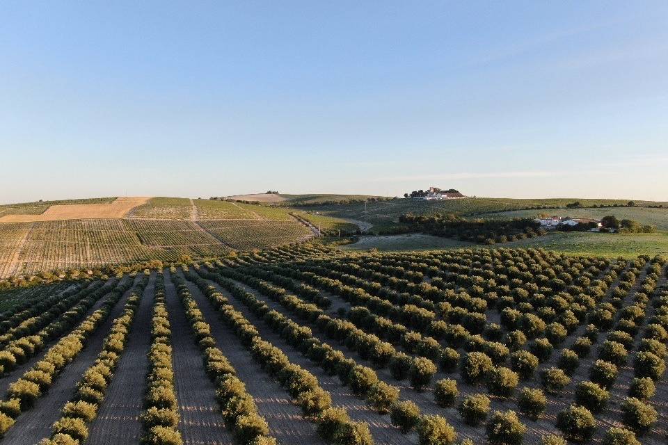 Vistas desde la finca