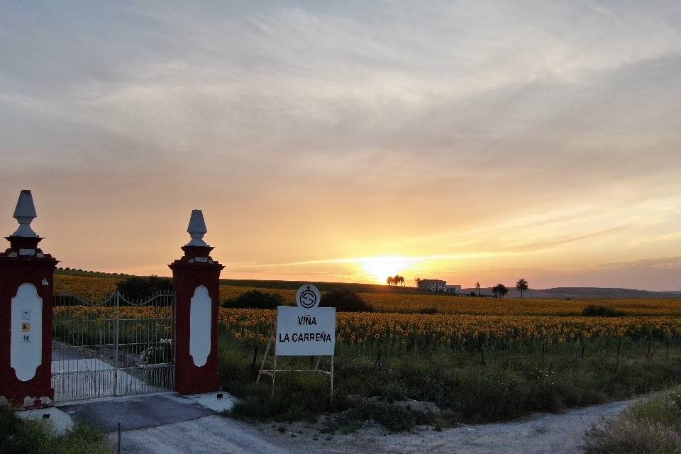 Atardeceres en La Carreña