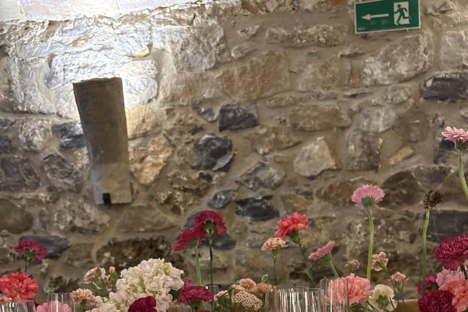 Montajes en el Madroño (4)
