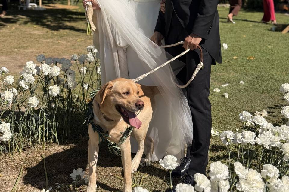 Parejas únicas