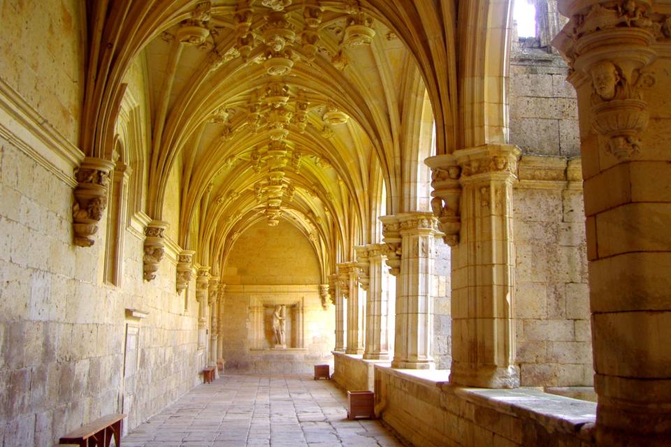 Claustro