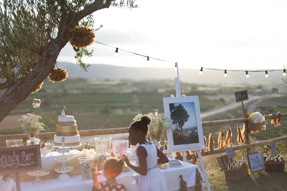 Boda entre viñedos