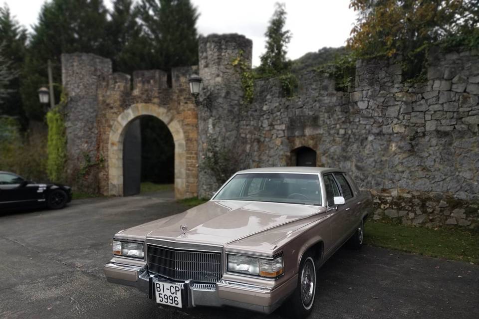 Cadillac Fleetwood Loizaga