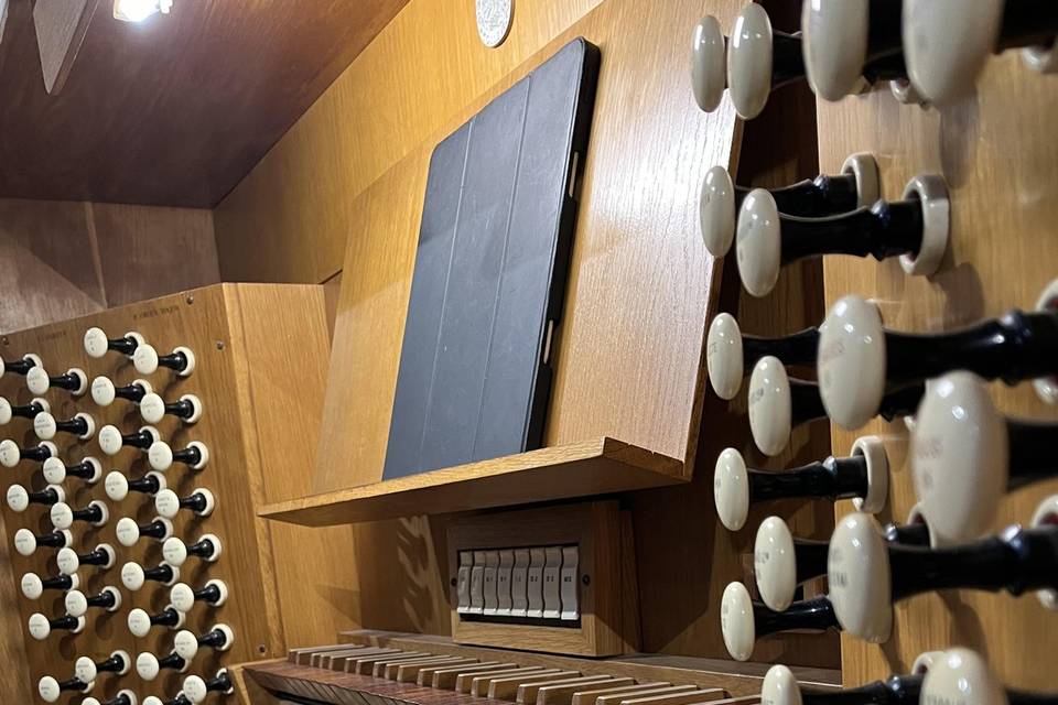 Organista