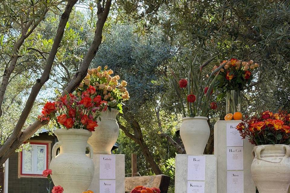 Boda Almeria