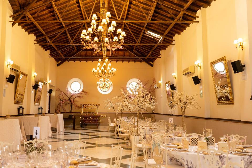 Salón espejos