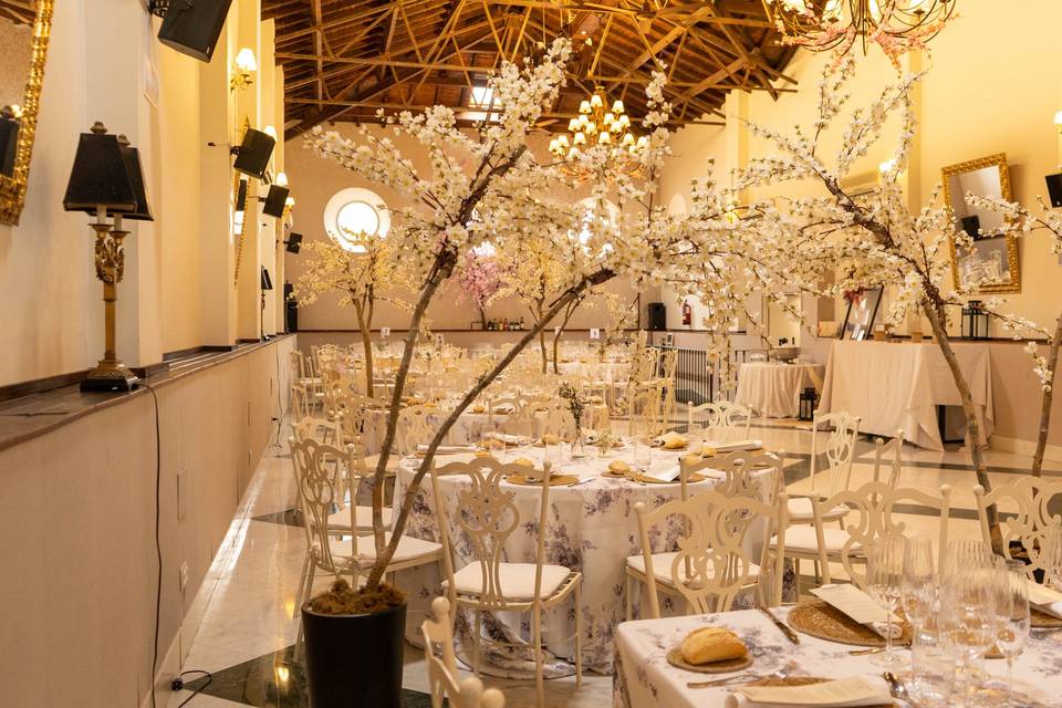 Salón espejos