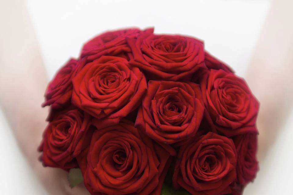 Rosas