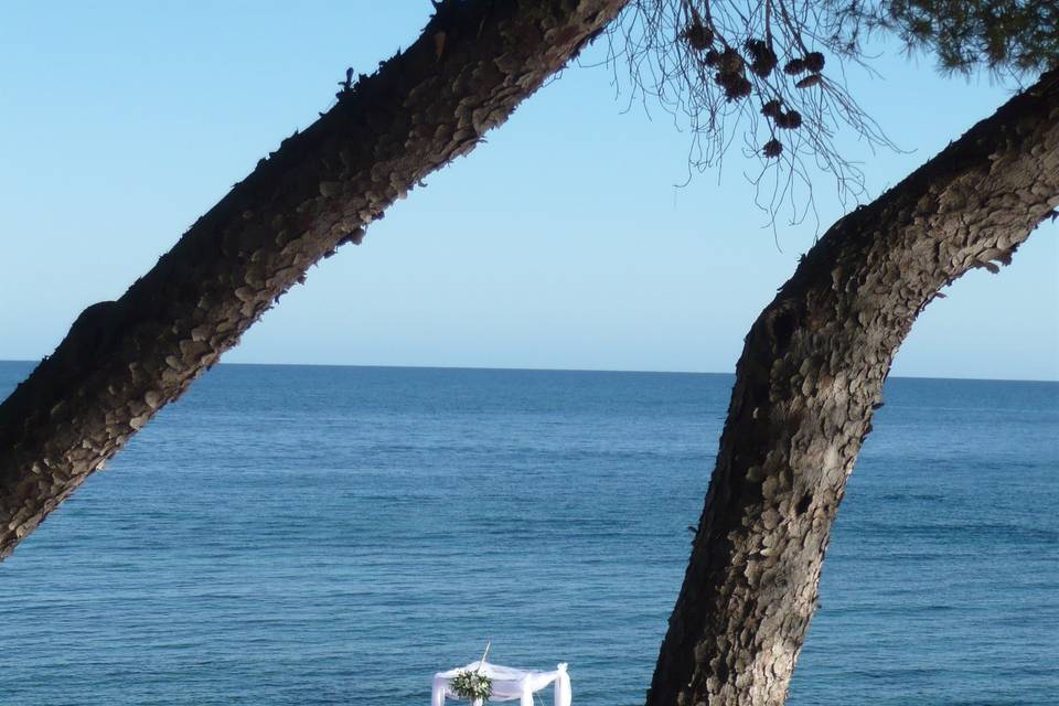 Ceremonia en solarium