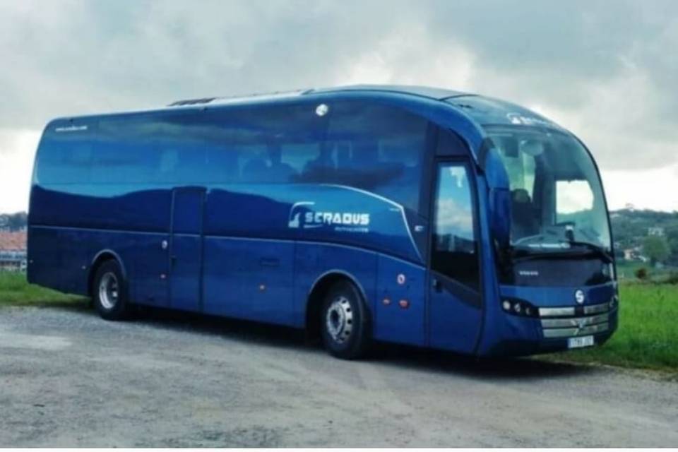 Bus 55 pax