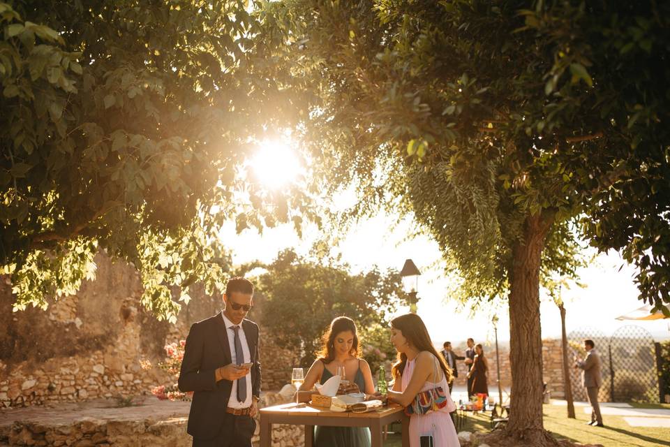 Aperitivo jardín