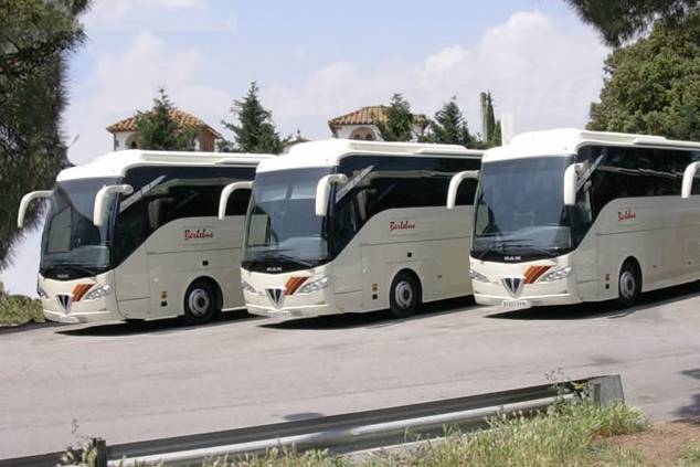 Variedad de autobuses