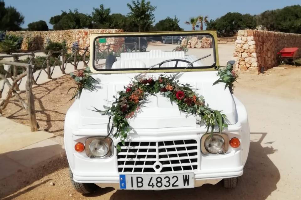 Coches para novios