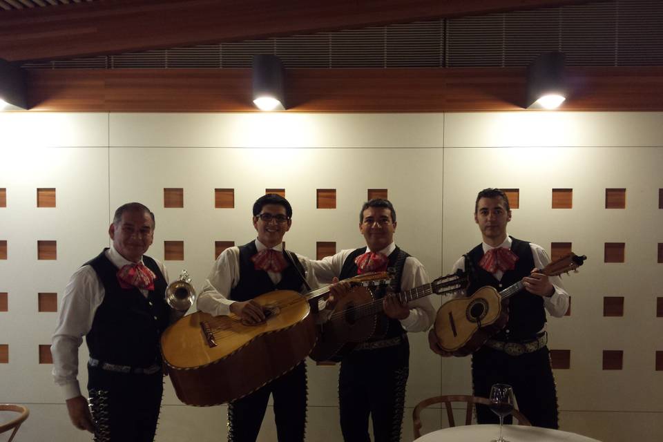 Mariachi Volver