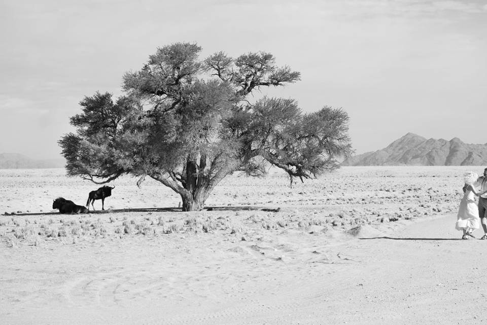 Boda en Namibia