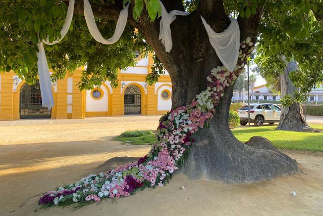 Flor de Luna