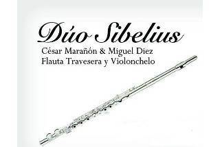 Dúo Sibelius