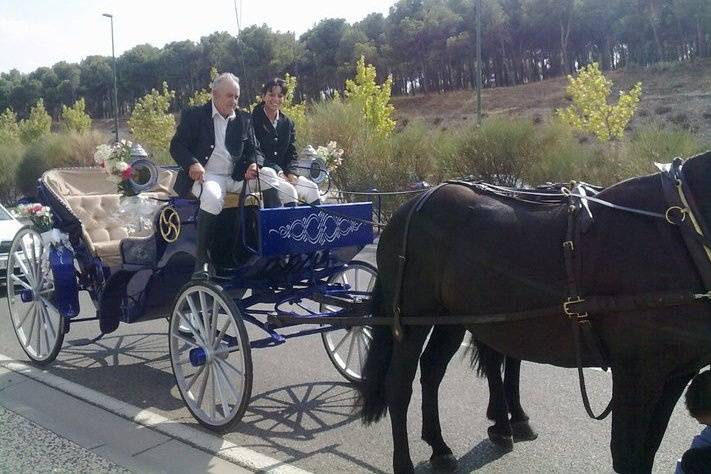 Eventos en Carruaje de Caballos