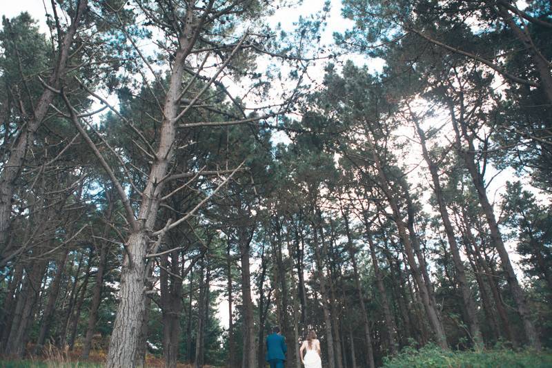 Bodas en el bosque