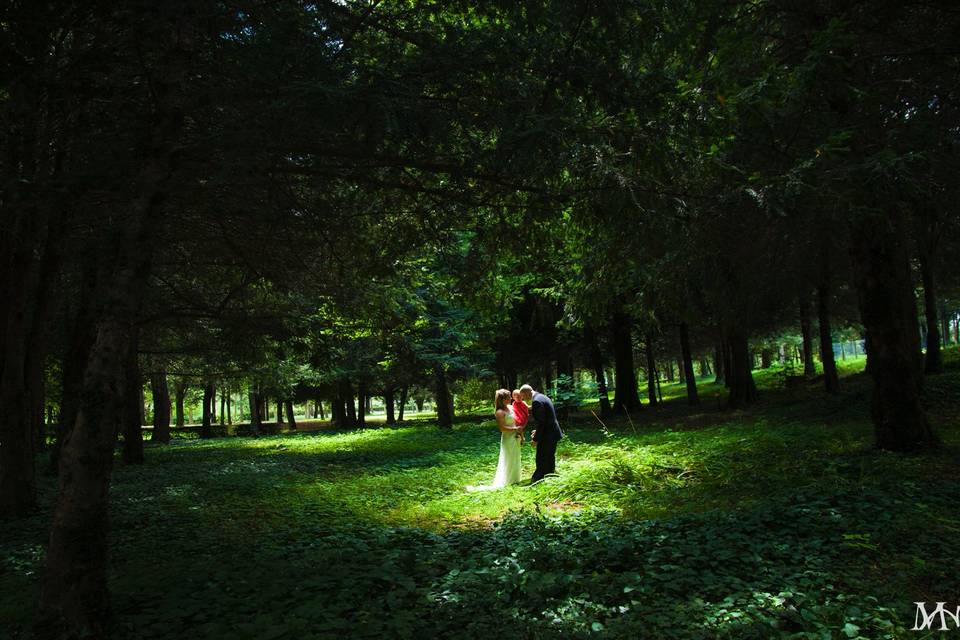 Novios en el bosque