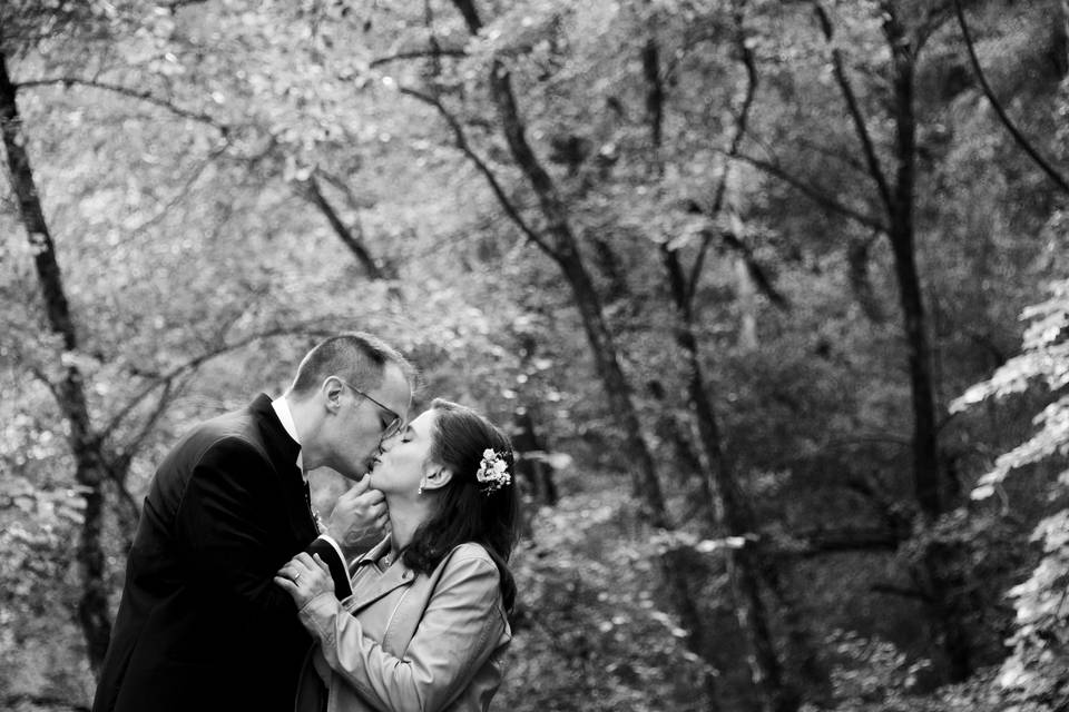 Novios en el bosque