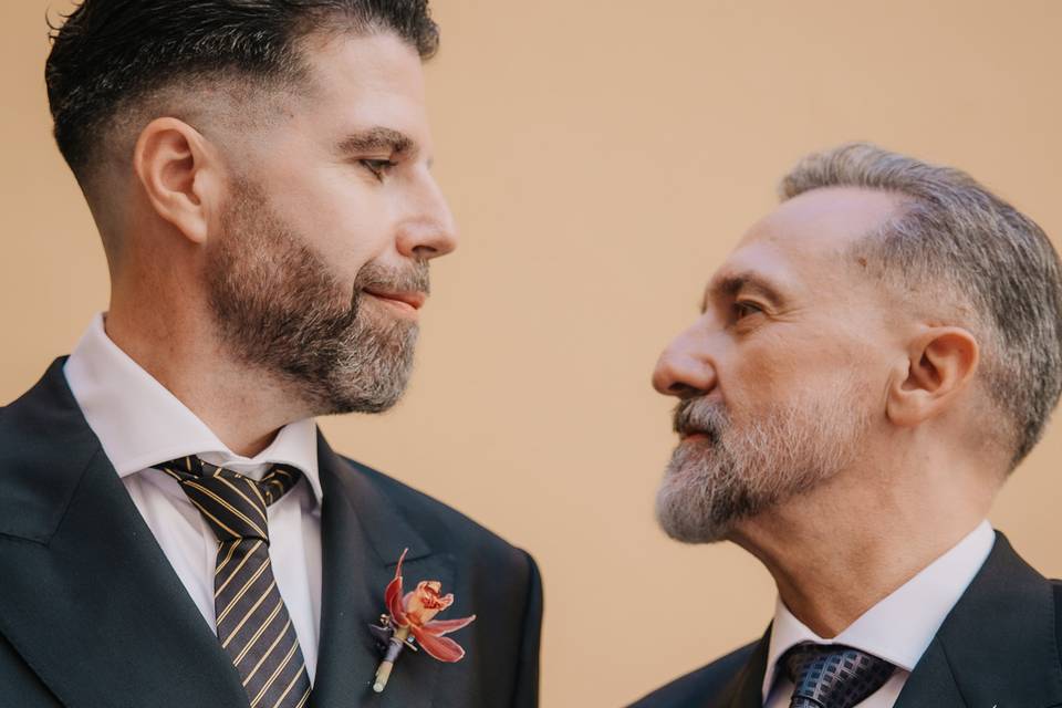 Novios