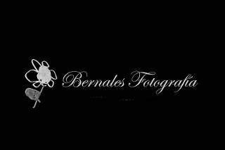 Bernales Fotografía