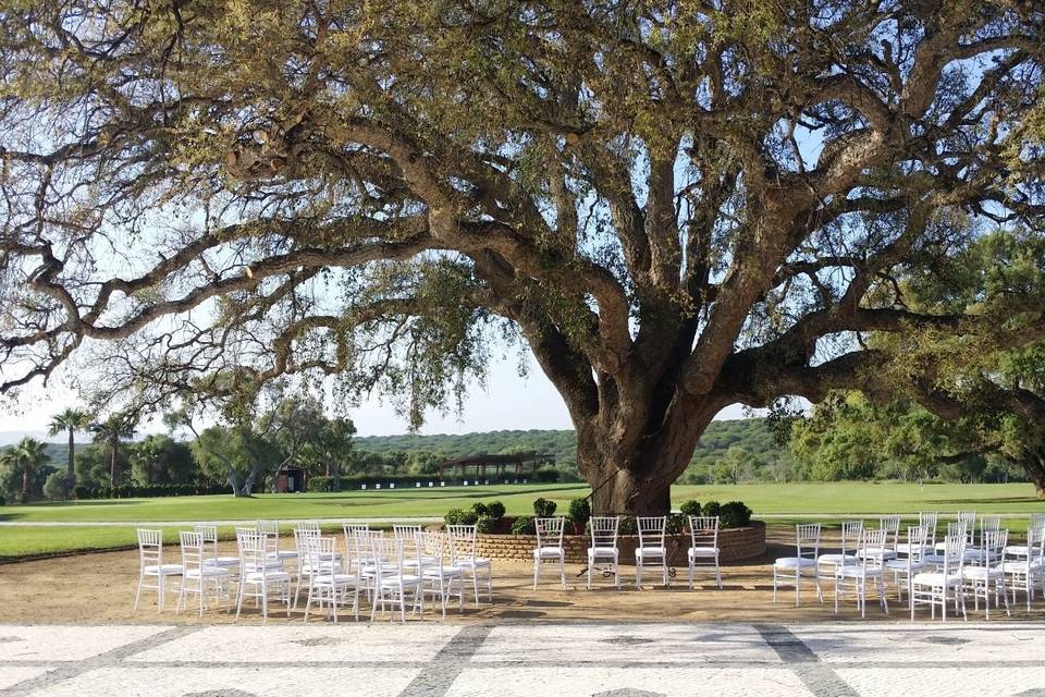 La Boda es Bella